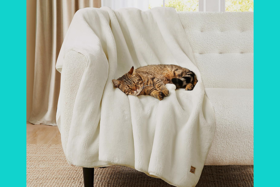 A cat sleeping on the white Ugg throw blanket, which is draped over a couch