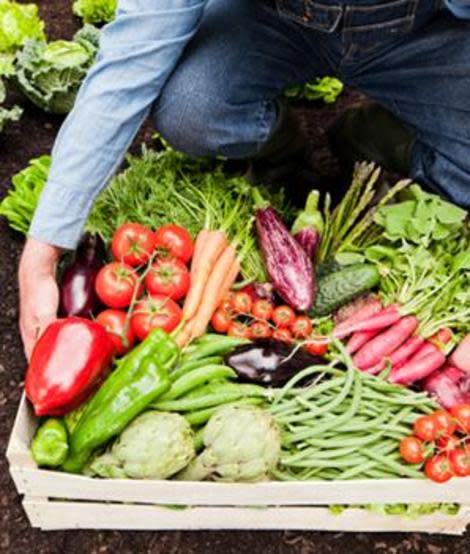 Organic food may boost your immunity