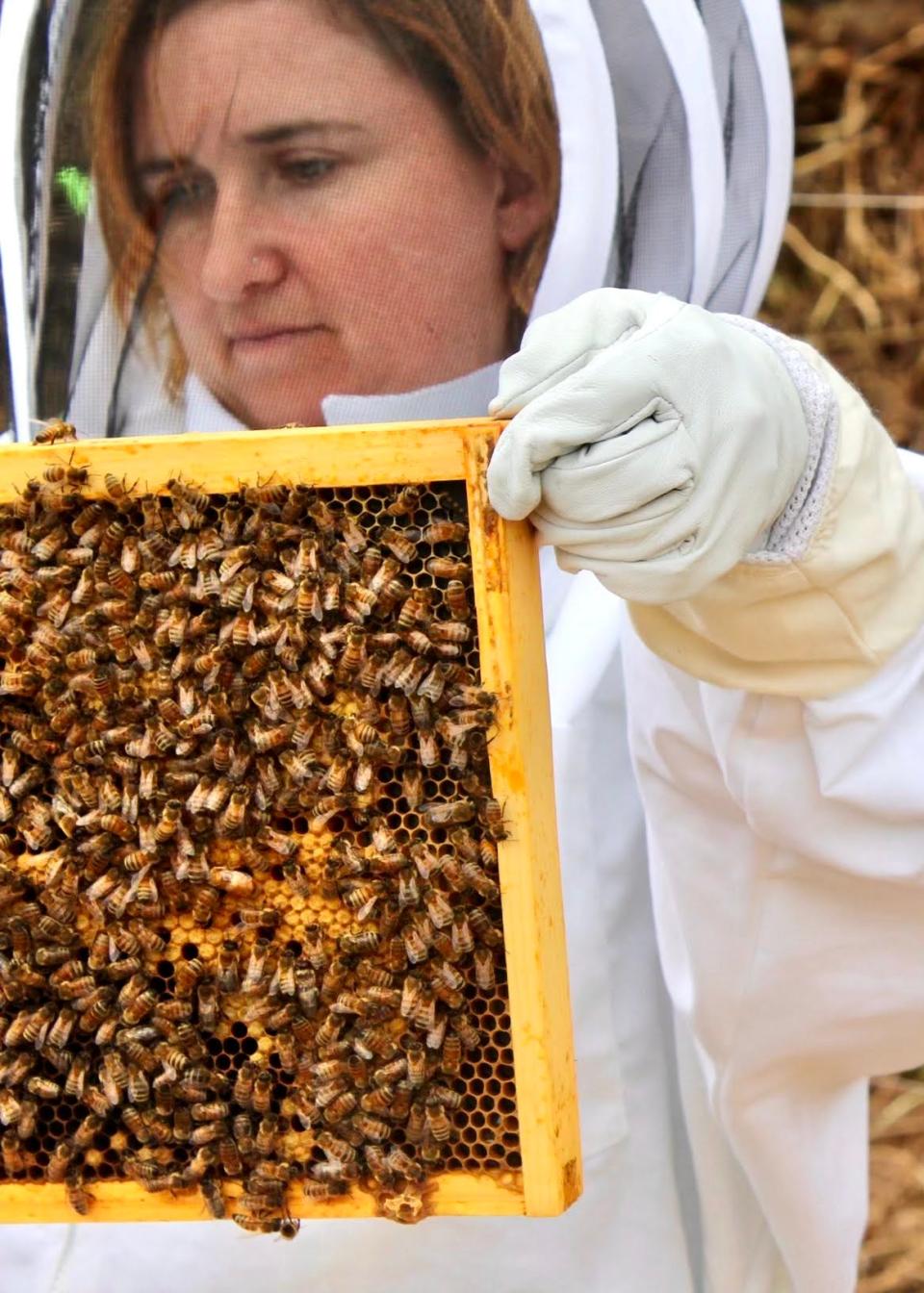 Shanti Volpe, founder of the Shanti Elixirs, with a beehive. Honey is a main ingredient in the beverage company's products.