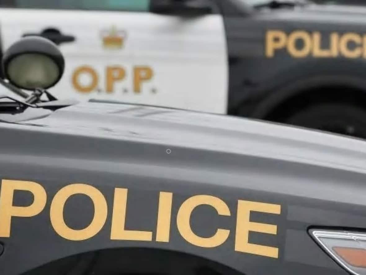 Ontario Provincial Police say a 51-year-old man from Kemptville, Ont., died in a snowmobile crash on Jan. 22, 2022. ( - image credit)