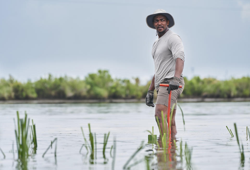 En esta imagen proporcionada por National Geographic, el actor y presentador Anthony Mackie en los pantanos cerca de Violet, Luisiana, durante el rodaje de "Shark Beach with Anthony Mackie". (Brian Roedel/National Geographic via AP)