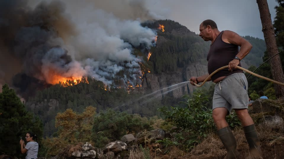 Wildfires broke out on Tenerife, among many other places this summer. - Andres Gutierrez/Anadolu Agency/Getty Images