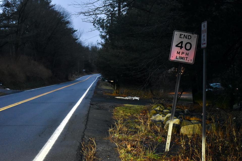 The speed limit on state Route 208 in New Paltz picks up to 55 mph near the spot where SUNY student Ray Rattray was struck and killed by a car last week.