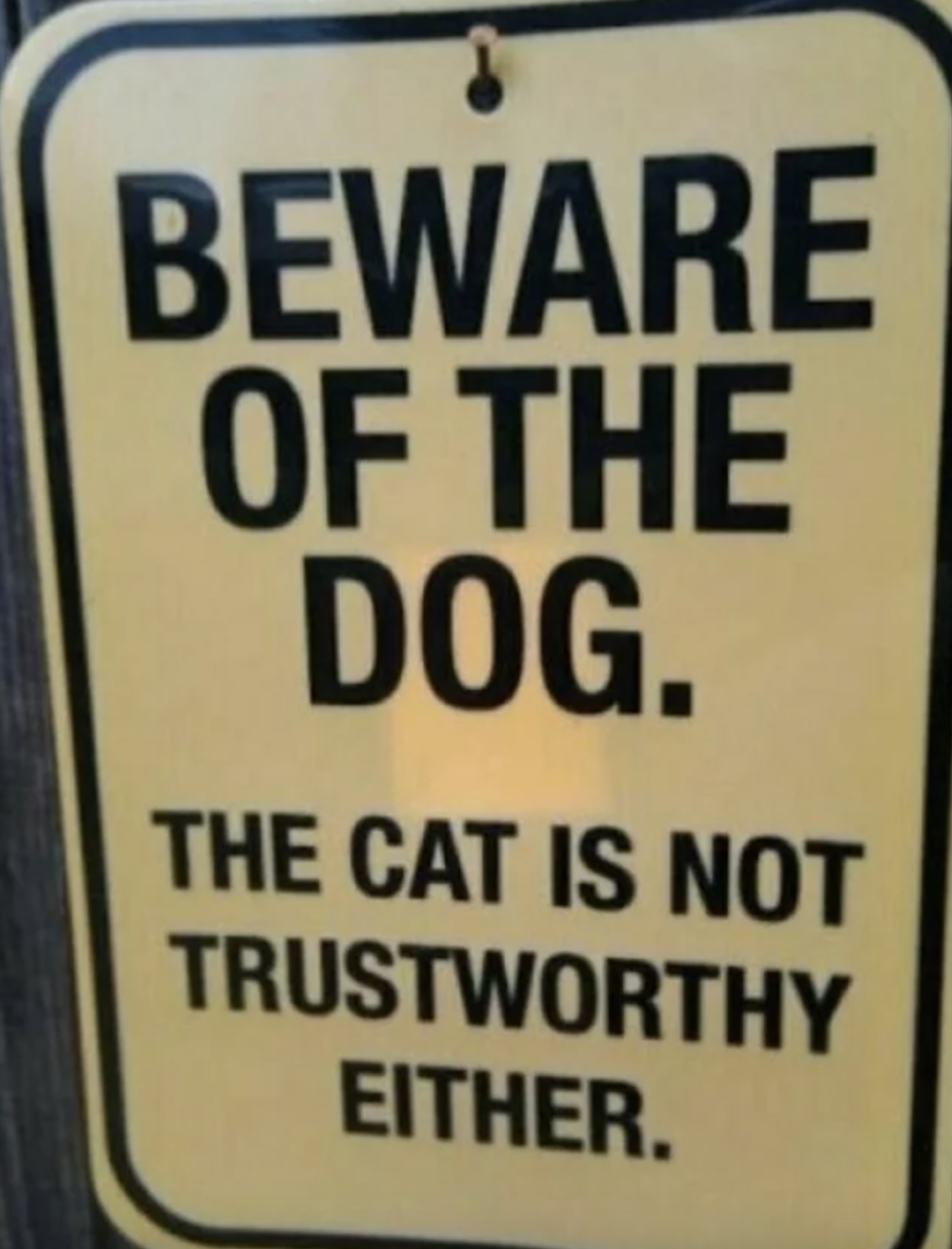 Warning sign: "Beware of the dog; the cat is not trustworthy either"