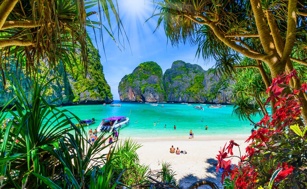 The iconic Maya Beach was made famous by movie The Beach (Getty Images)