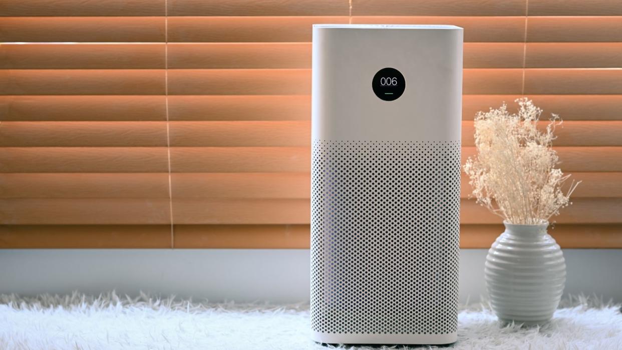  An air purifier next to a small vase of dried grass on the floor 