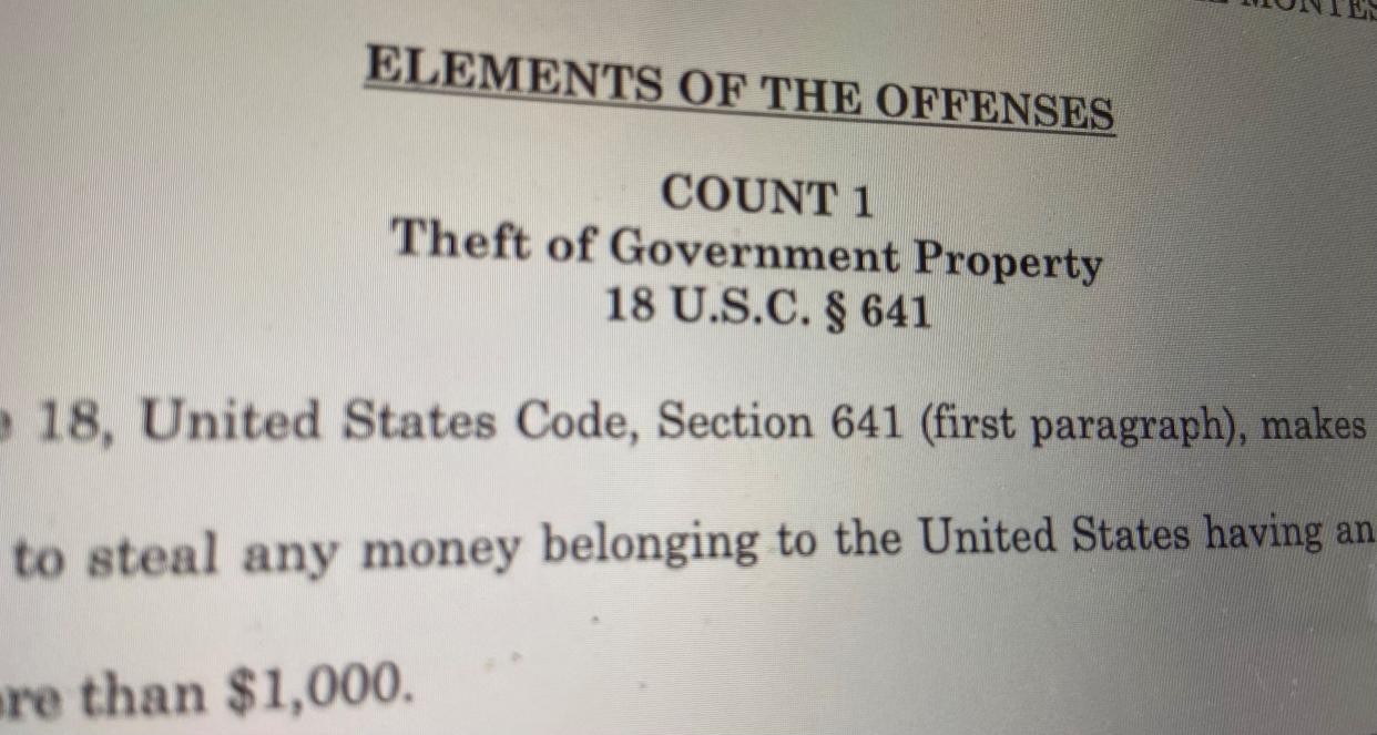 The former owner of a dog training business was sentenced in federal court to five years probation Friday, and her attorney announced in court that Rapides Parish District Attorney Phillip Terrell's office would not be prosecuting her on animal cruelty charges.