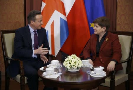 Polish Prime Minister Beata Szydlo meets with her British counterpart David Cameron (L) at the Prime Minister's Chancellery in Warsaw, Poland February 5, 2016. REUTERS/Kacper Pempel