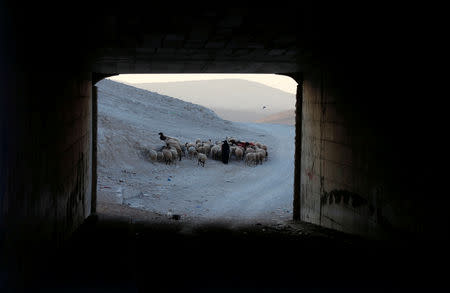 FILE PHOTO: A Palestinian woman herds animals in the Bedouin village of Khan al-Ahmar, in the occupied West Bank September 6, 2018. REUTERS/Ammar Awad