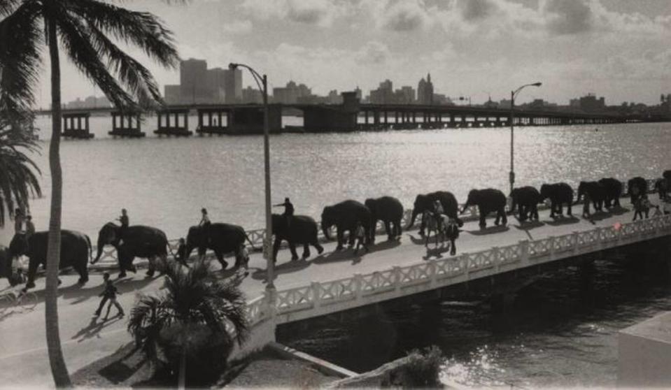 Elefantes de circo cruzan el Viaducto Venetian en 1975.