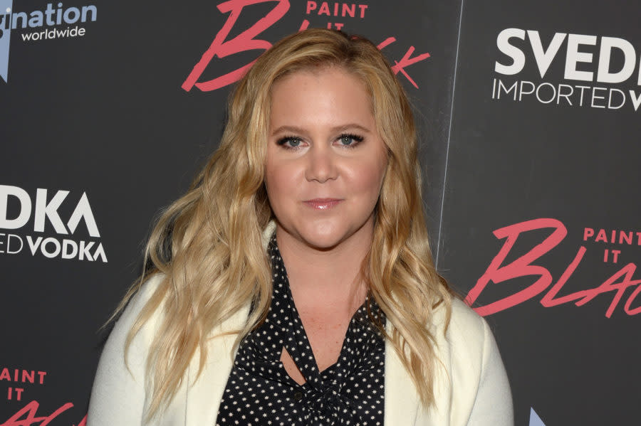 ICYMI: Amy Schumer officially won National Bikini Day with this Insta pic