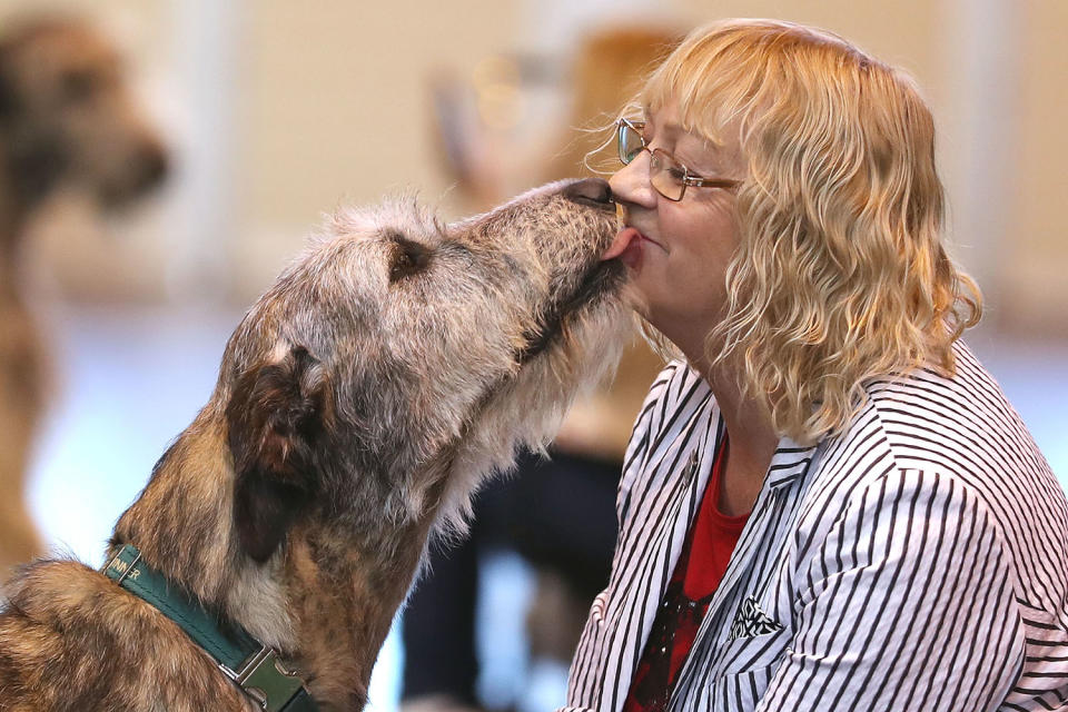 Crufts Dog Show kiss