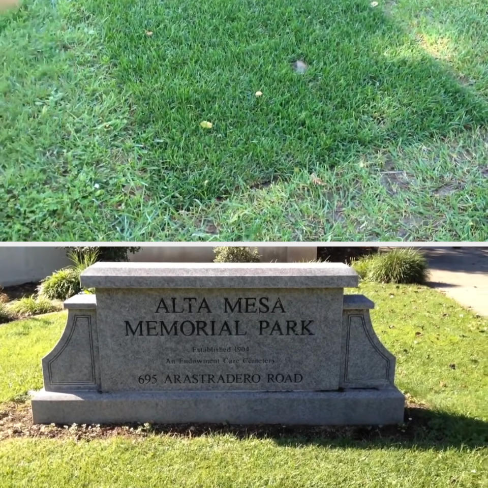 Possible grave site for Steve Jobs