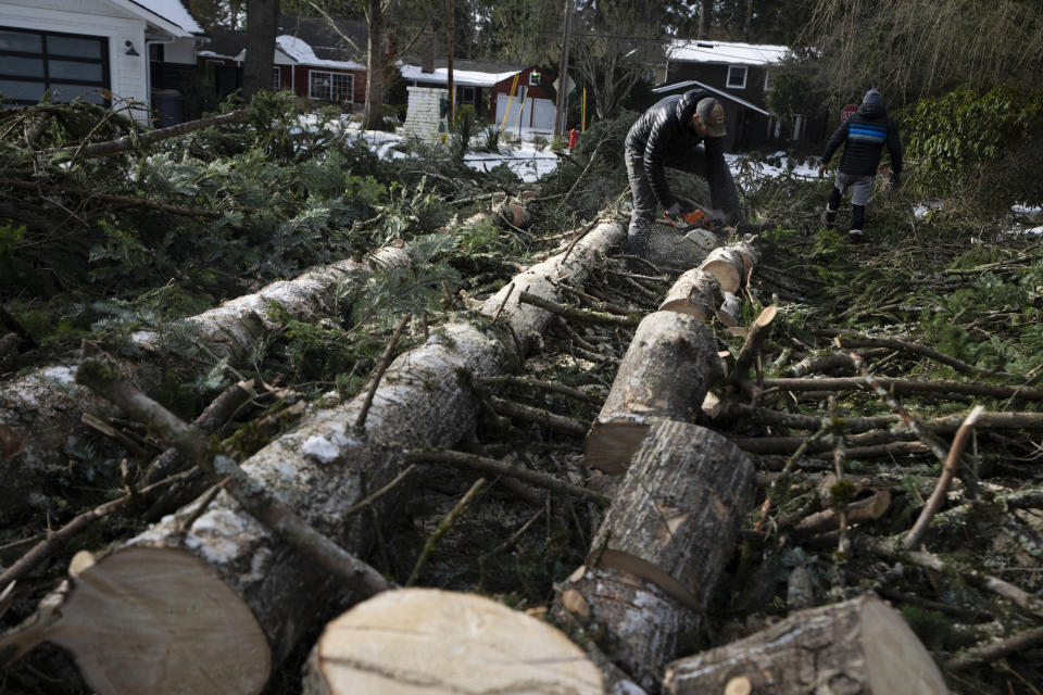 Justin Brooks works on clearing trees that fell around his home on Tuesday, Jan. 16, 2024, in Lake Oswego, Ore. (AP Photo/Jenny Kane)