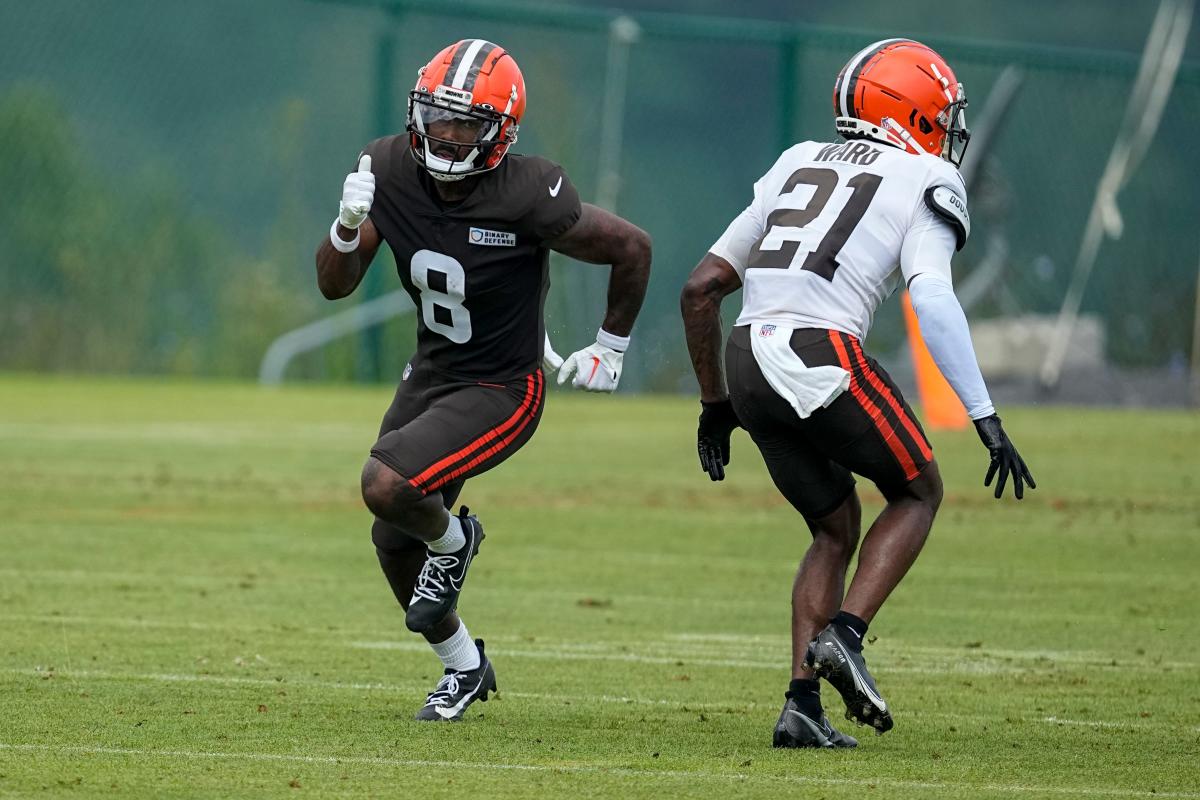 Ohio, USA. August 17, 2018: Cleveland Browns defensive end Chris