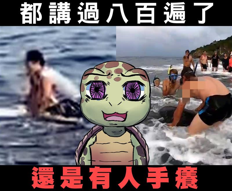 海洋委員會表示，小琉球又發生騷擾海龜事件（圖／翻攝自海洋委員會臉書）