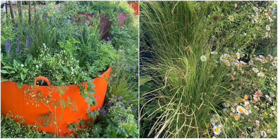 Trending at RHS Chelsea: how easy is it to get the wild look at home?