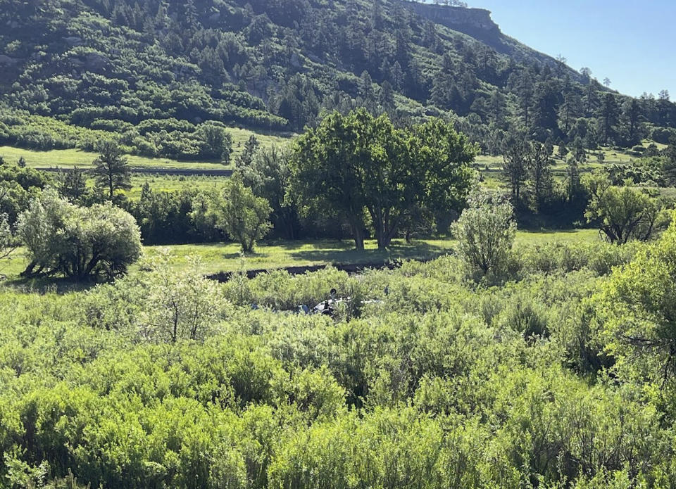 In this photo provided by Douglas County Sheriff's Office posted on X, a small plane crashed in a field just east of I-25, around the Larkspur, Colo., exit, Sunday, June 16, 2024. The Douglas County Sheriff's Office says the plane apparently hit a sign on the highway, causing it to veer off to the east before crashing. Officials say two people were seriously injured in the crash. (Douglas County Sheriff's Office via AP)