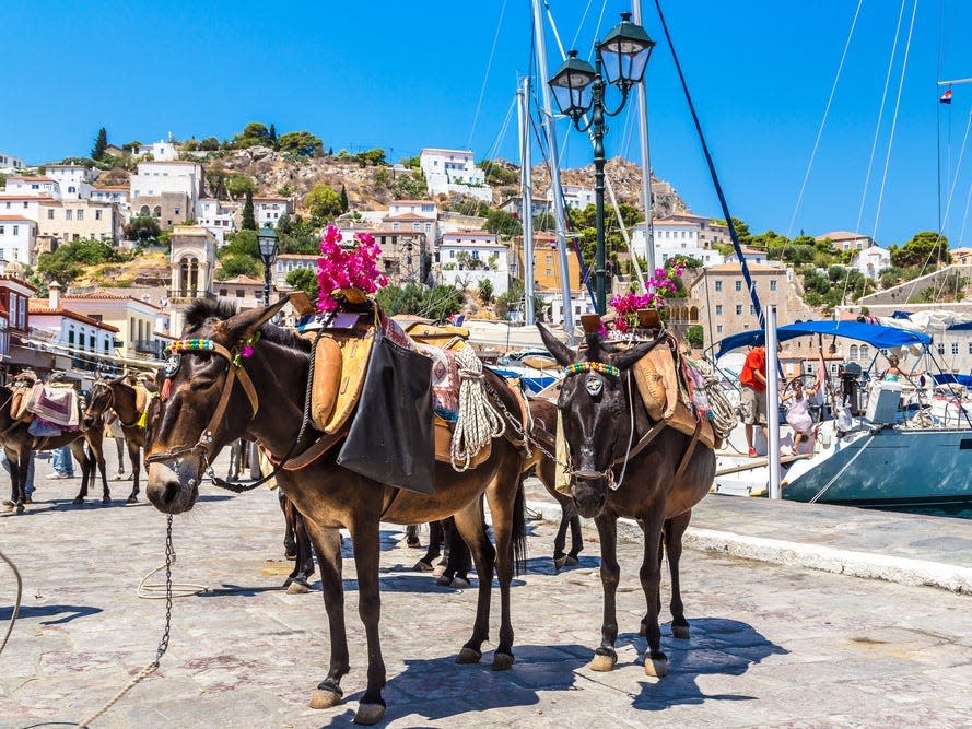 Donkeys with saddles in a town with cobblestone streets. There are colorful houses on a mountain in the background, and a boat docked in the water on the right.