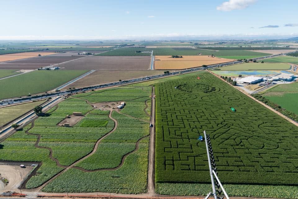 14) The Corn Maze at Cool Patch Pumpkins in Dixon, California