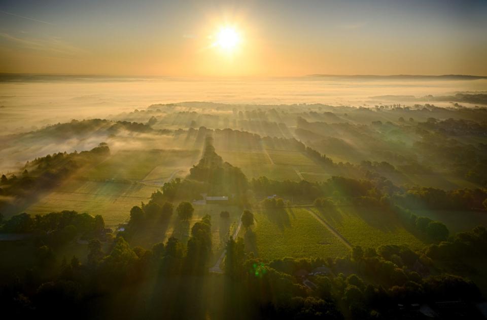 (Mist rolls across The Nyetimber Vineyard on Englands South Downs in this image shot by drone (Picture: Chris Gorman / Big Ladder)