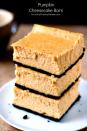 <p>Crushed chocolate graham cracker crust and silky cheesecake infused with sweet pumpkin-what more could you need in life?</p><p><strong>Get the recipe at <a href="http://www.crunchycreamysweet.com/2014/10/13/pumpkin-cheesecake-bars/" rel="nofollow noopener" target="_blank" data-ylk="slk:Crunchy Creamy Sweet;elm:context_link;itc:0;sec:content-canvas" class="link ">Crunchy Creamy Sweet</a>.</strong> </p>