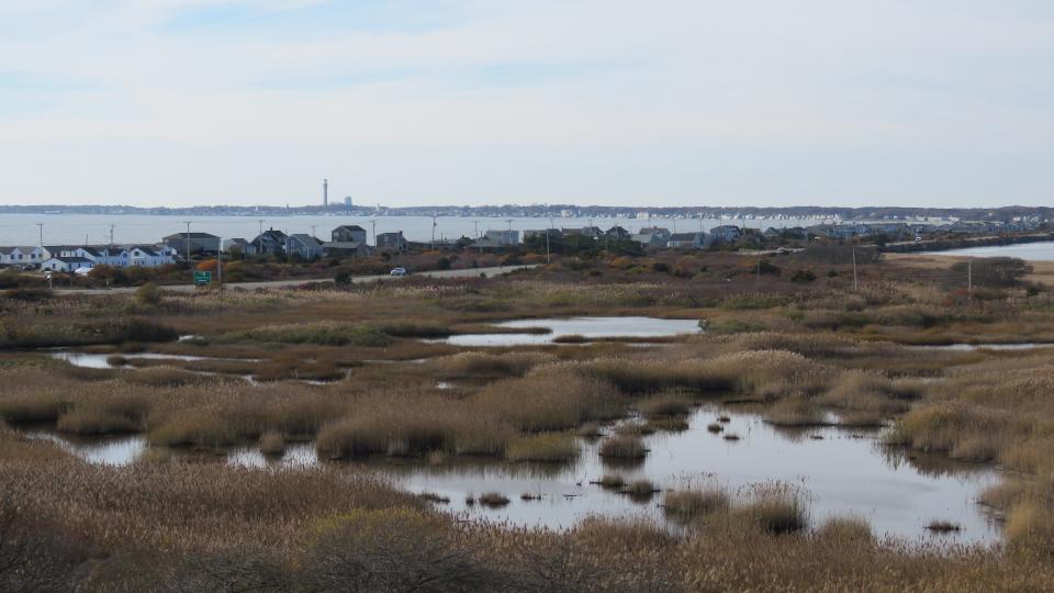 Looking toward Provincetown from High Head in Truro.