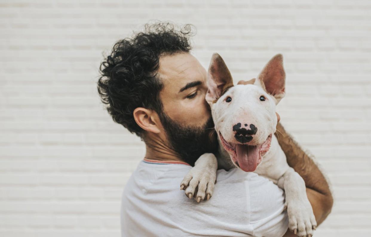 A dog in Paris has become the first case of a pet contracting monkeypox from its owners. <a href="https://www.gettyimages.com/detail/photo/bearded-man-kissing-a-white-bull-terrier-dog-royalty-free-image/1187471630?adppopup=true" rel="nofollow noopener" target="_blank" data-ylk="slk:Cavan Images via Getty Images;elm:context_link;itc:0;sec:content-canvas" class="link ">Cavan Images via Getty Images</a>