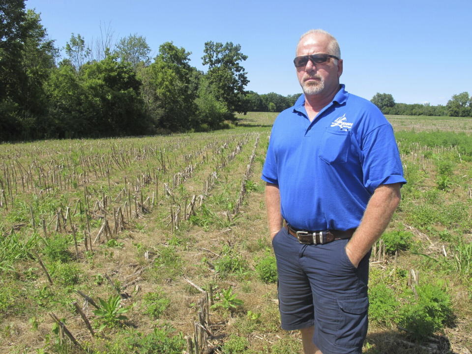 In this July 31, 2019 photo, Michael Wurts, superintendent of the Lapeer Wastewater Treatment Plant, stands in an adjacent cornfield where sludge from the plant was used as fertilizer, in Lapeer, Mich. State officials ordered a halt to the practice after toxic PFAS chemicals were detected in the sludge. Experts are raising concerns that sludge spread on agricultural fields around the U.S. could contaminate crops. About half of the 7 million tons of sludge generated each year is applied to farm fields and other lands. (AP Photo/John Flesher)