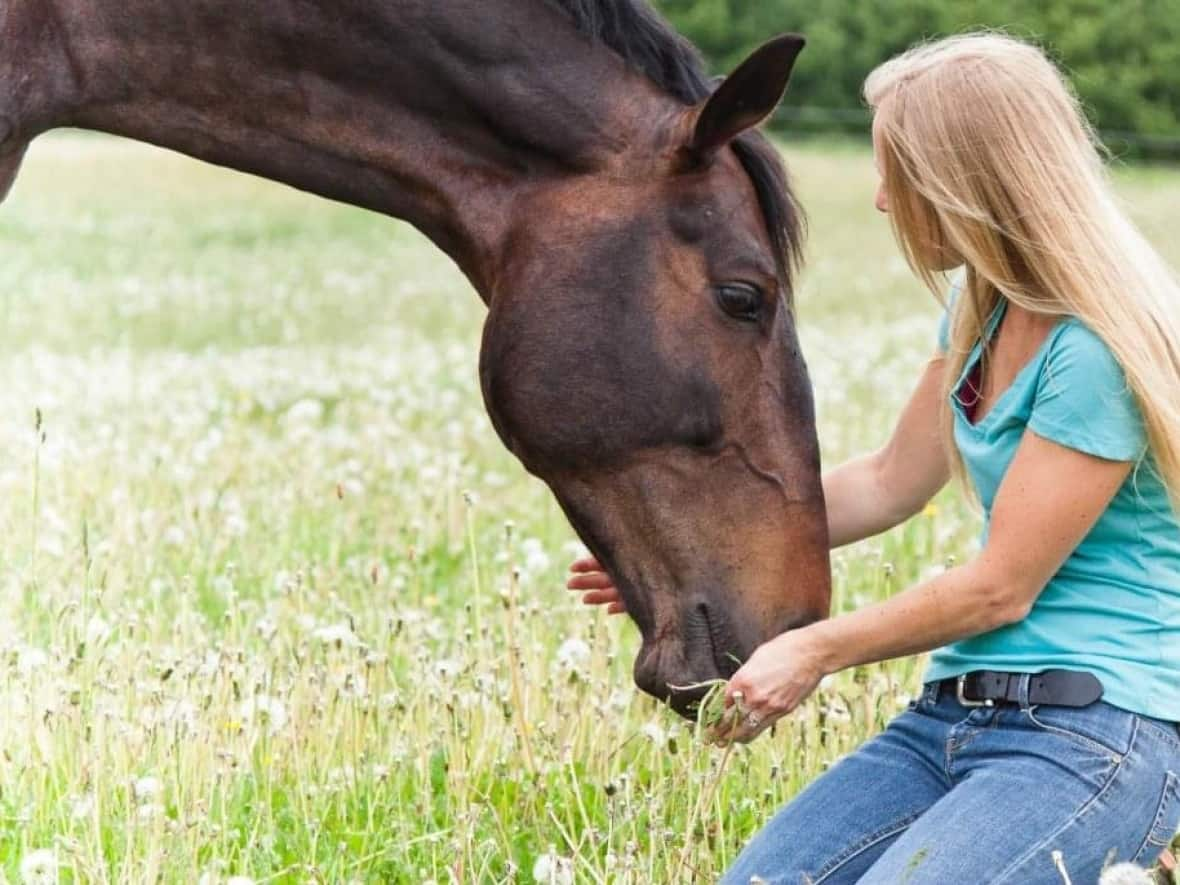 Navar was a 16-year-old Canadian Sport Horse who had a successful career as a show jumper. (Dawn Golding - image credit)