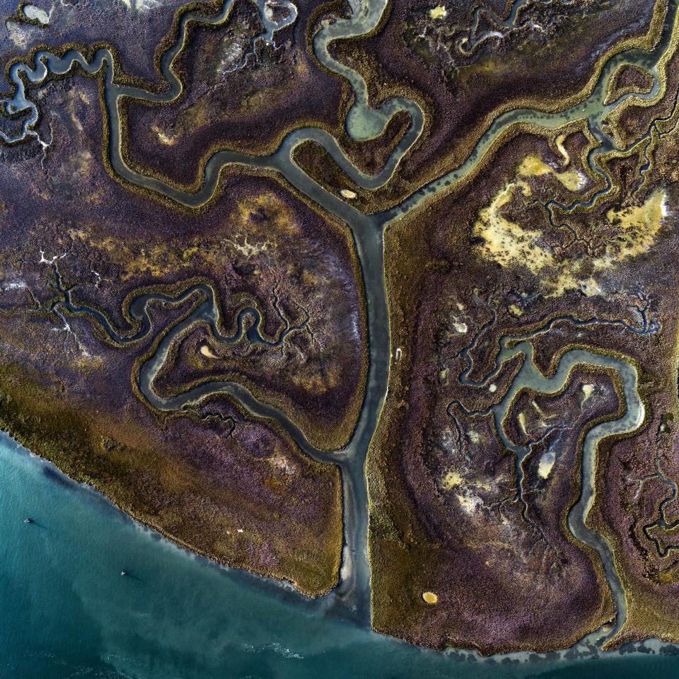 Marsh Land, grasses from a tidal swirl in the salt marsh of Venice, Italy. (Photo: Milan Radisic/Caters News)