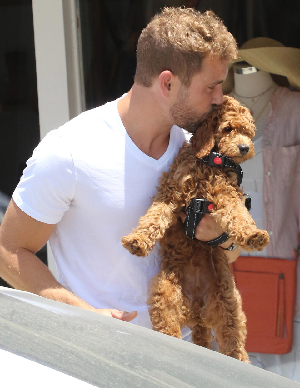 <p>Nick Viall smooches his adorable dog while out in L.A. on July 27.</p>