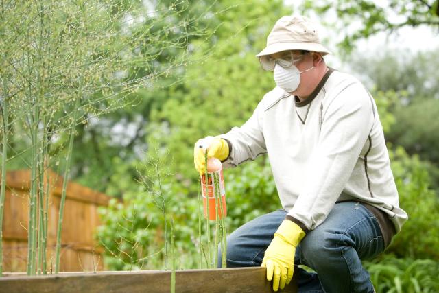 Philadelphia Bed Bug Exterminator