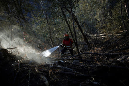 A firefighter drops water in the aftermath of the fire, next to a road between Monchique and Silves, Portugal August 9, 2018. REUTERS/Pedro Nunes