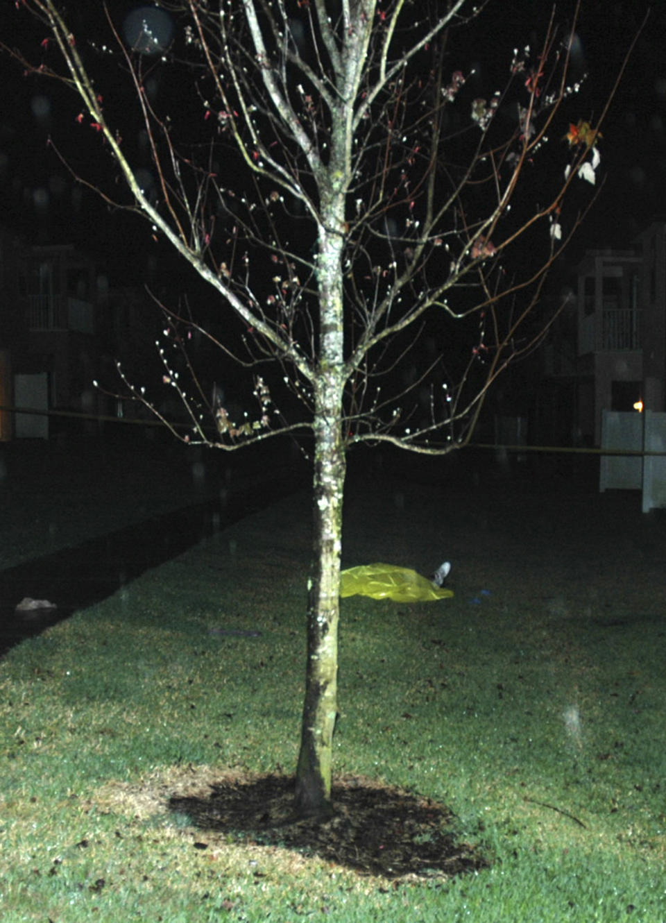 <strong>Feb. 26, 2012</strong> -- Roughly seven minutes after Zimmerman's call to police, authorities receive a 911 call from an individual reporting a fight. During the call, the dispatcher hears a gunshot in the background and sends police units to the location. Responding officers discover that Martin has been shot in the chest. The teen is unresponsive and pronounced dead at the scene.    Police find no identification on Martin and label him a John Doe.