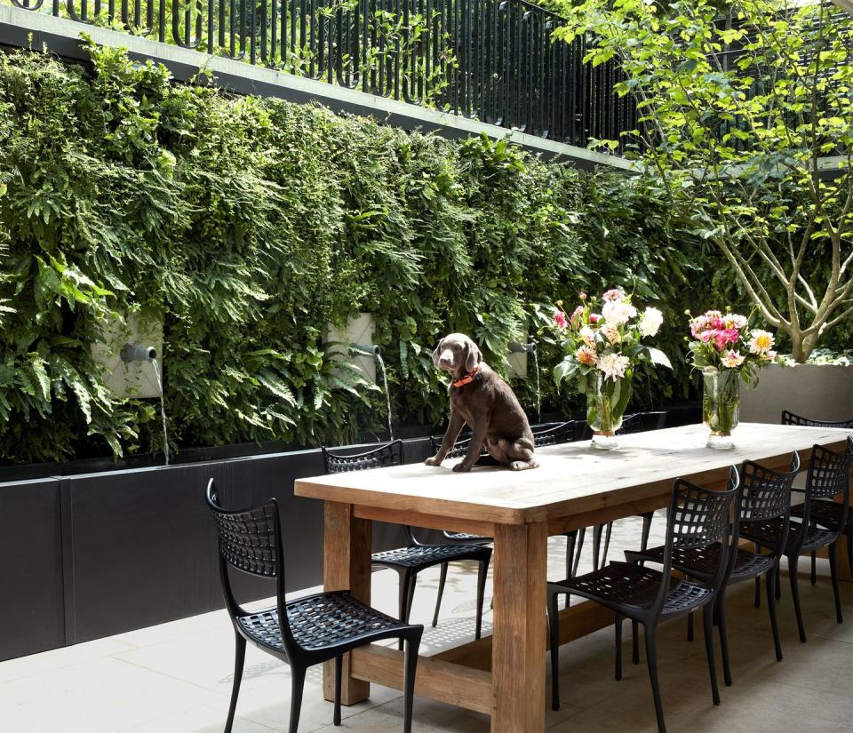 Garden Wall Patio