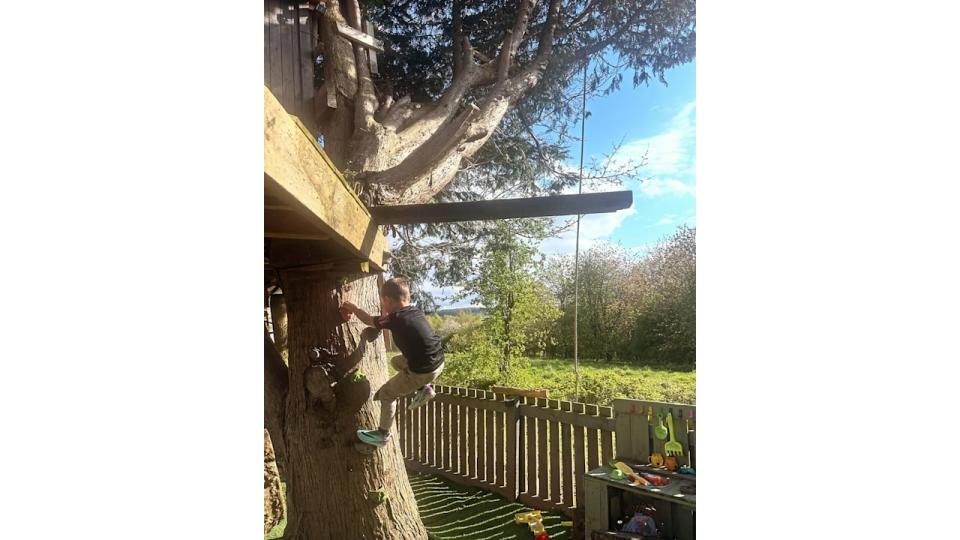young boy scaling tree 