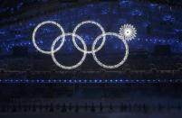 Participants march by as one of the Olympic Rings fails to completely illuminate during the opening ceremony of the 2014 Sochi Winter Olympics, February 7, 2014. REUTERS/Phil Noble