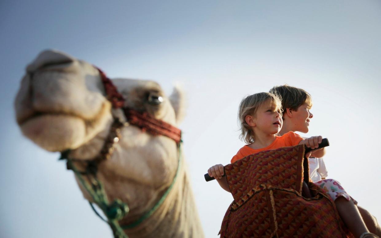 December in Morocco brings many sunny days, ideal for exploring its cities