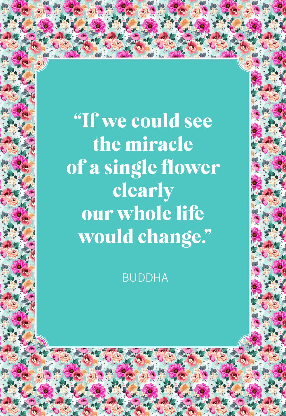 flower quotes buddha