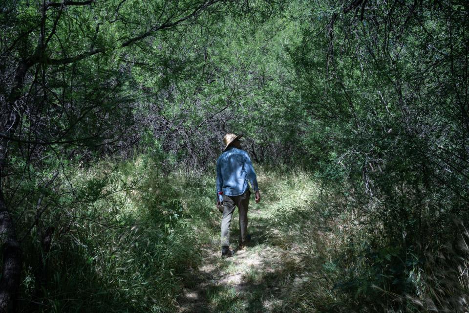 Dan Wolgast, Nature Conservancy's preserve manager, walks through a mesquite thicket on the Lower San Pedro River near Winkelman on May 5, 2023.