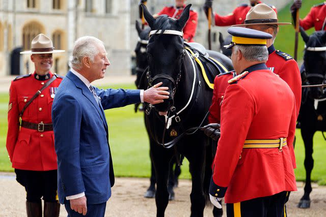 <p>ANDREW MATTHEWS/POOL/AFP via Getty</p> King Charles is presented with Noble, a gift from the Royal Canadian Mounted Police, on April 28, 2023.