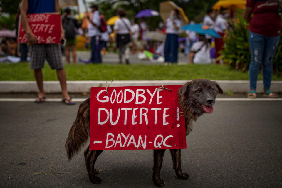 A dog is seen with placard as Filipino protesters attempt to march towards Philippine Congress to call for an end to Duterte's presidency on July 26, 2021 in Manila, Philippines.<span class="copyright">Ezra Acayan/Getty Images</span>