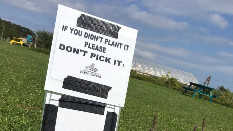 Community garden fed up with theft and vandalism