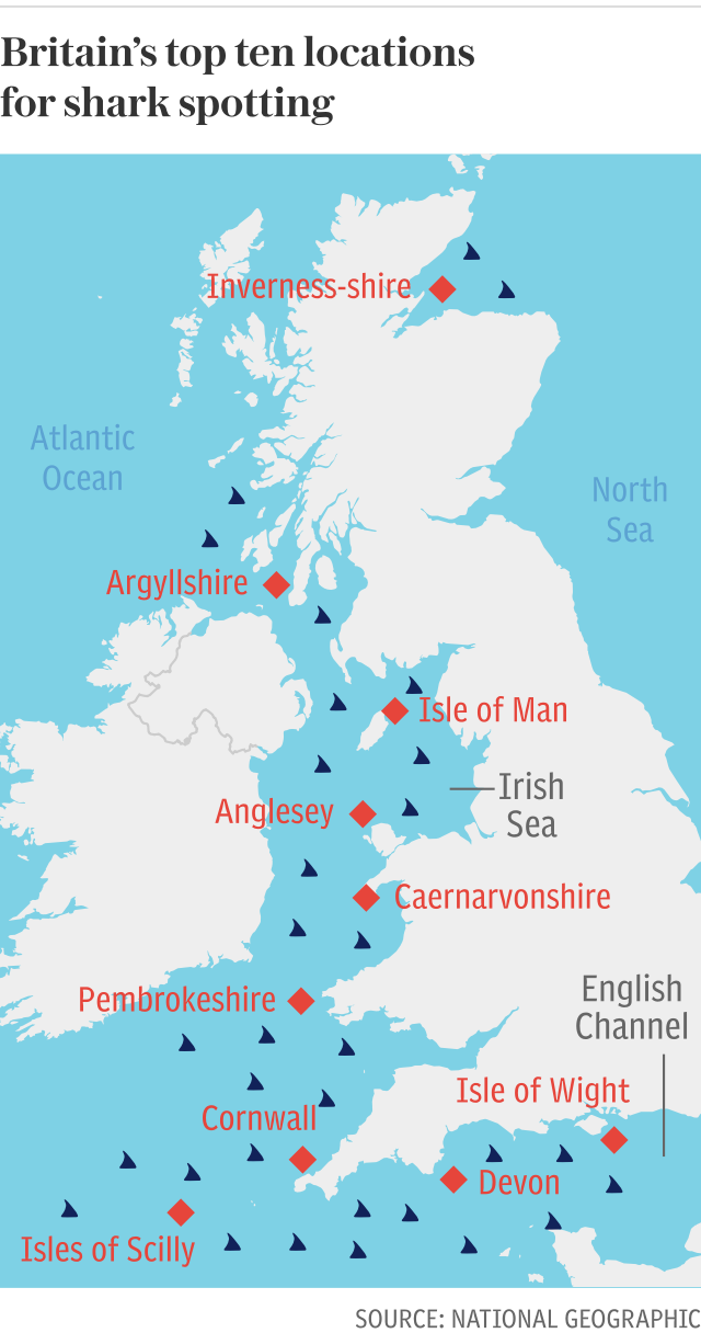 Britain's top ten locations for shark spotting