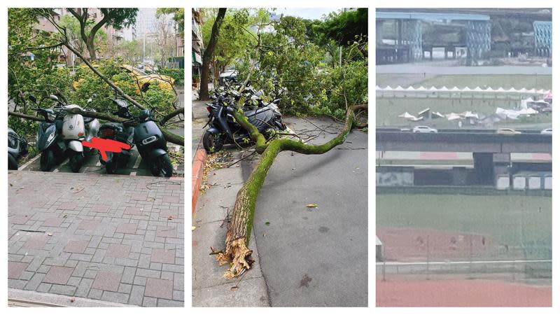台北市下午突颳起一陣怪風，網友陸續曝光「災情」。（翻攝自天氣風險臉書）