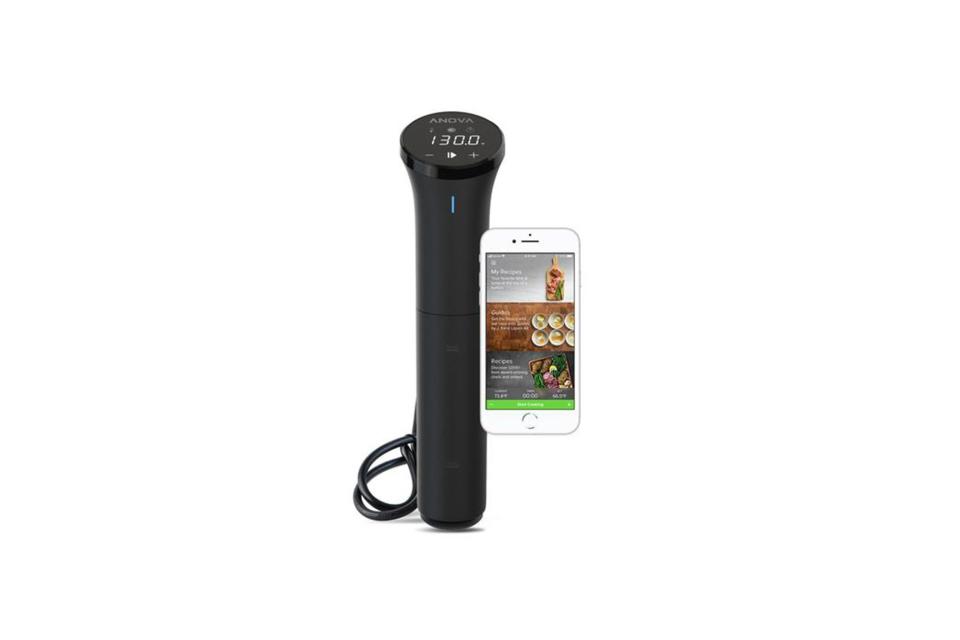 Anova Precision Cooker Nano sous vide device