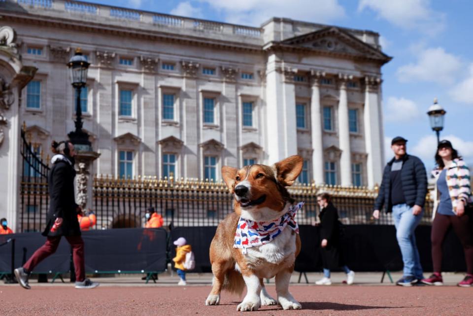 <div class="inline-image__credit">REUTERS/John Sibley</div>