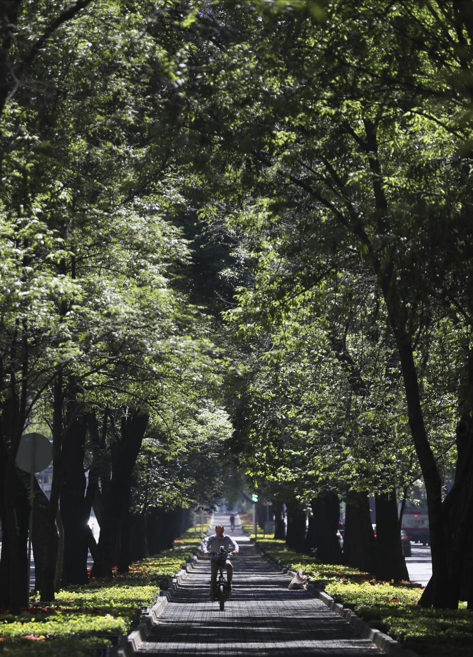 FILE - In this March 24, 2020 file photo, a man rides his bike through an empty Chapultepec park in Mexico City. Many countries in Latin American and the Caribbean saw their first cases of novel coronavirus arrive with jetsetting members of the elite returning from vacations or work trips to Europe and the United States. (AP Photo/Fernando Llano, File)