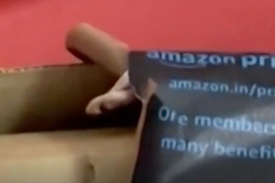 <p>Viral Press</p> A snake attached to an Amazon package